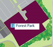 forest-park.jpg.jpg