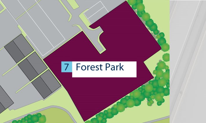 forest-park.jpg.jpg